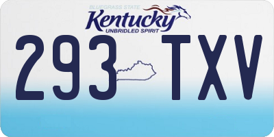 KY license plate 293TXV