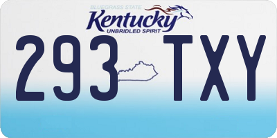 KY license plate 293TXY