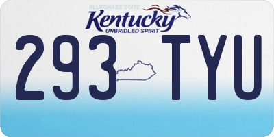 KY license plate 293TYU