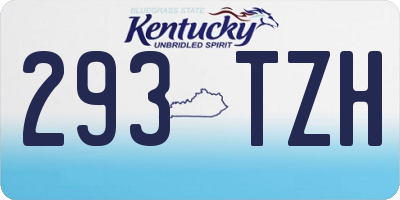 KY license plate 293TZH