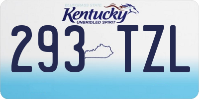 KY license plate 293TZL