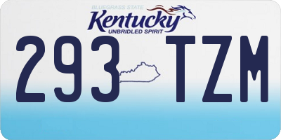 KY license plate 293TZM