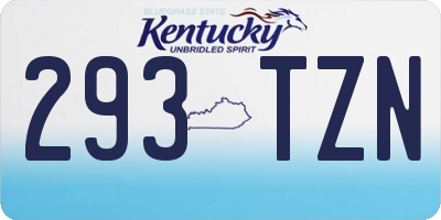 KY license plate 293TZN