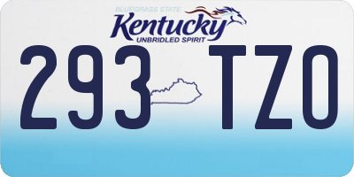 KY license plate 293TZO