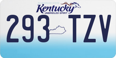 KY license plate 293TZV