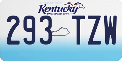 KY license plate 293TZW