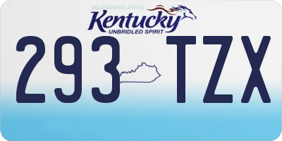 KY license plate 293TZX