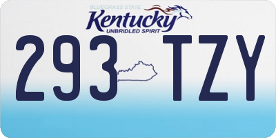 KY license plate 293TZY