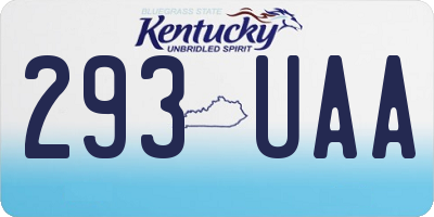 KY license plate 293UAA