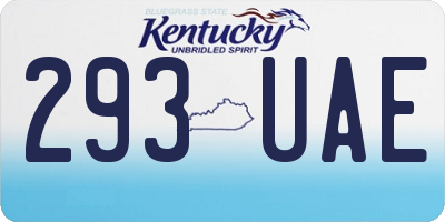 KY license plate 293UAE