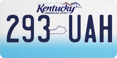 KY license plate 293UAH