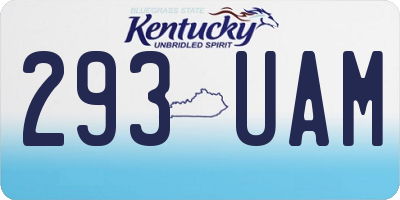 KY license plate 293UAM