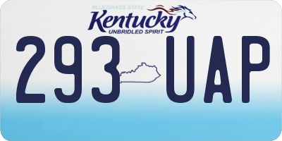 KY license plate 293UAP
