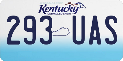KY license plate 293UAS