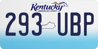 KY license plate 293UBP