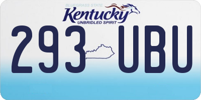 KY license plate 293UBU