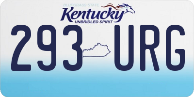 KY license plate 293URG