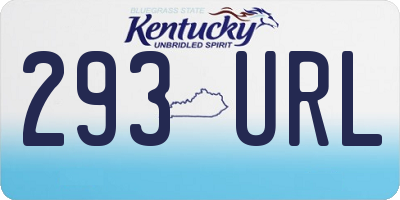 KY license plate 293URL