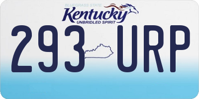 KY license plate 293URP