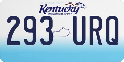 KY license plate 293URQ