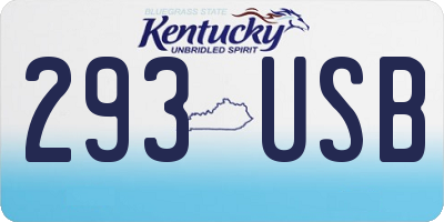 KY license plate 293USB