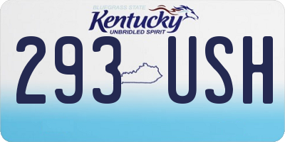 KY license plate 293USH