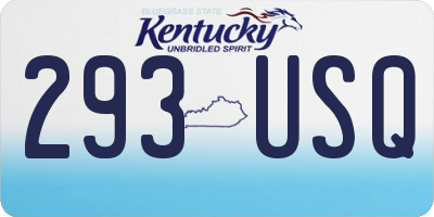 KY license plate 293USQ