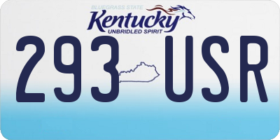 KY license plate 293USR