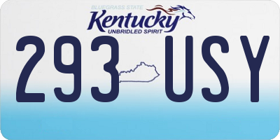 KY license plate 293USY