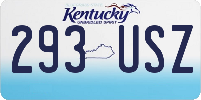 KY license plate 293USZ