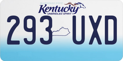 KY license plate 293UXD