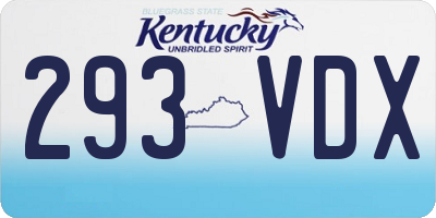 KY license plate 293VDX