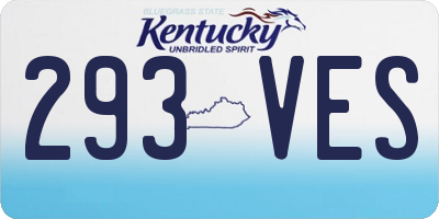 KY license plate 293VES
