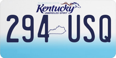 KY license plate 294USQ