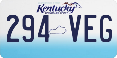 KY license plate 294VEG