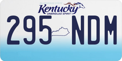 KY license plate 295NDM