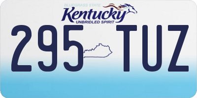 KY license plate 295TUZ