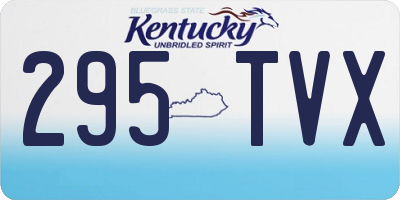 KY license plate 295TVX