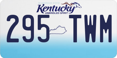 KY license plate 295TWM