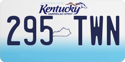 KY license plate 295TWN