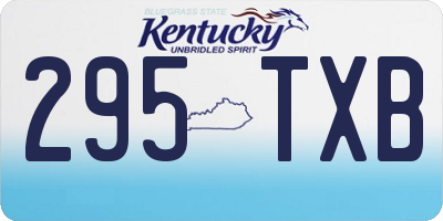 KY license plate 295TXB