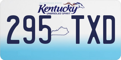 KY license plate 295TXD