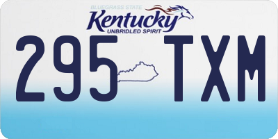 KY license plate 295TXM