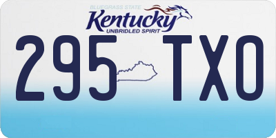 KY license plate 295TXO