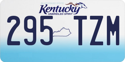 KY license plate 295TZM