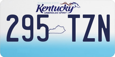 KY license plate 295TZN