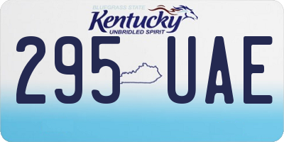 KY license plate 295UAE