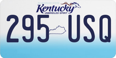 KY license plate 295USQ