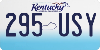 KY license plate 295USY