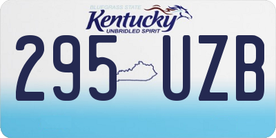 KY license plate 295UZB